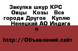 Закупка шкур КРС , Овцы , Козы - Все города Другое » Куплю   . Ненецкий АО,Индига п.